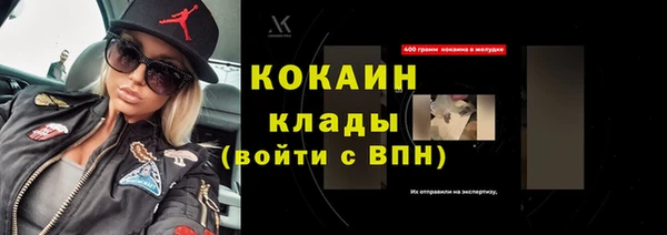 твердый Горняк
