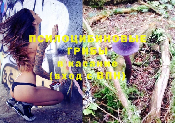 кокаин перу Вяземский