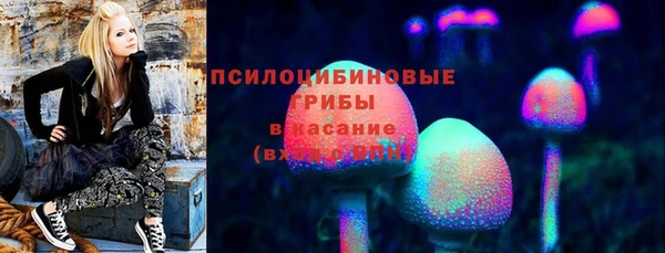 кокаин перу Вяземский
