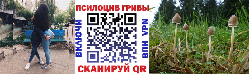 купить наркотик Тбилисская Псилоцибиновые грибы прущие грибы